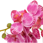 Декоративный искусственное растение Pink orchid варинант исполнения - 3 | Loft Concept в Новосибирске
