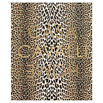 Редкое коллекционное издание Casa Cavalli Home: Celebrating the Roberto Cavalli Lifestyle Леопард варинант исполнения - 1 | Loft Concept в Новосибирске