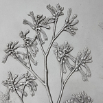 Панно Лесной цветок варинант исполнения - 4 | Loft Concept в Новосибирске