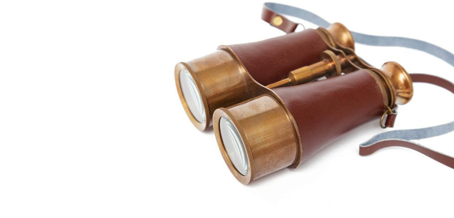 Винтажный бинокль в подарочной коробке Victorian Era Brass Binoculars - Loft-Concept в Новосибирске