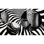 Редкое коллекционное издание Casa Cavalli Home: Celebrating the Roberto Cavalli Lifestyle Зебра варинант исполнения - 4 | Loft Concept в Новосибирске