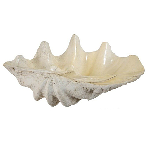 Блюдо декоративное в виде ракушки Seashell