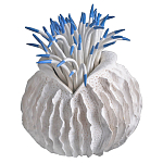 Статуэтка тропический фрукт Tropical Fruit White Blue варинант исполнения - 2 | Loft Concept в Новосибирске