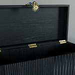 Большой дизайнерский Сундук Elsa Dreams Black варинант исполнения - 3 | Loft Concept в Новосибирске