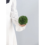 Декоративный искусственное растение Small boxwood варинант исполнения - 3 | Loft Concept в Новосибирске