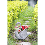 Кашпо The Proud Swan варинант исполнения - 6 | Loft Concept в Новосибирске