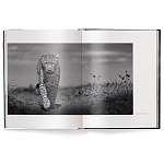 Книга Beusker. Look into my Eyes варинант исполнения - 1 | Loft Concept в Новосибирске