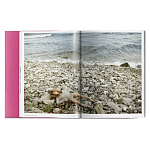 Книга Gisele Bundchen варинант исполнения - 9 | Loft Concept в Новосибирске