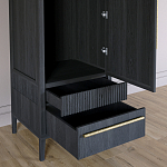 Узкий Шкаф Primo с 2 выдвижными ящиками Черный дуб варинант исполнения - 5 | Loft Concept в Новосибирске
