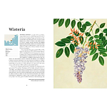 Прекрасно иллюстрированная книга более 100 ботанических произведений Plant Hunters Atlas варинант исполнения - 4 | Loft Concept в Новосибирске