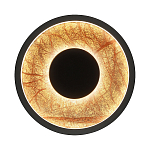 Бра круглое Gold Sun Lighting  варинант исполнения - 1 | Loft Concept в Новосибирске