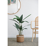 Декоративный искусственное растение Decor Stile  варинант исполнения - 5 | Loft Concept в Новосибирске